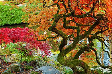 《合金装备》女歌手明显暗示《合金装备3：重制版》